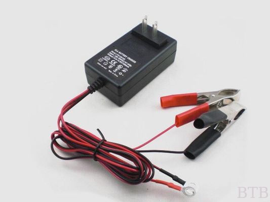 Uso de la batería estándar y tipo eléctrico 24V 500mA cargador de la batería de plomo ácido sild acido batte proveedor